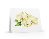 8 cards - Yellow Phalaenopsis Orchid Watercolor Greeting Card by Bill Shew