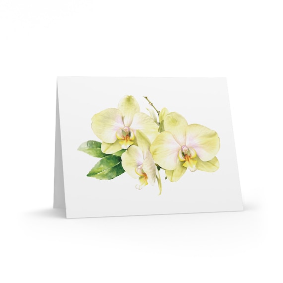 8 cards - Yellow Phalaenopsis Orchid Watercolor Greeting Card by Bill Shew
