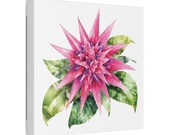 Pink Bromeliad Botanical Art Classic Stretched Canvas | Tropical Floral Wall Decor, framing detail (Bill Shew)
