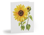 8 cards - Watercolor Sunflower Botanical Greeting Card, Floral Art Note Card by Bill Shew