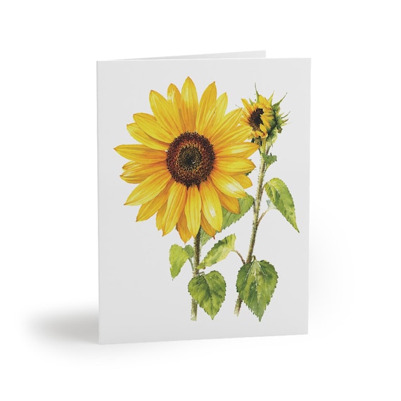 8 cards - Watercolor Sunflower Botanical Greeting Card, Floral Art Note Card by Bill Shew
