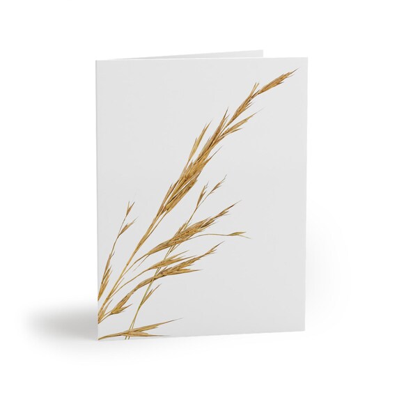 Golden Wild Grass Watercolor Greeting Card – Botanical Meadow Illustration (8 Cards) Golden Wild Grass Watercolor Greeting Card – Botanical Meadow Illustration (8 Cards), Bill Shew note card set
