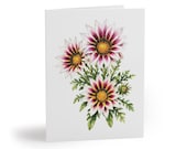 White Gazania Botanical Watercolor Greeting Cards – Floral Art (8 Pack) by Bill Shew