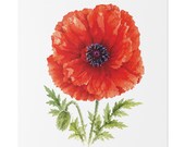Red Oriental Poppy Botanical Art Classic Stretched Canvas | Floral Wall Decor, close-up (Bill Shew)