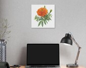 Orange Marigold Botanical Art Classic Stretched Canvas | Floral Garden Wall Decor, alternate view (Bill Shew)