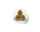 Gold Pinecone Sticker, Watercolor Winter Decor, Rustic Holiday Art, detail view (Bill Shew)