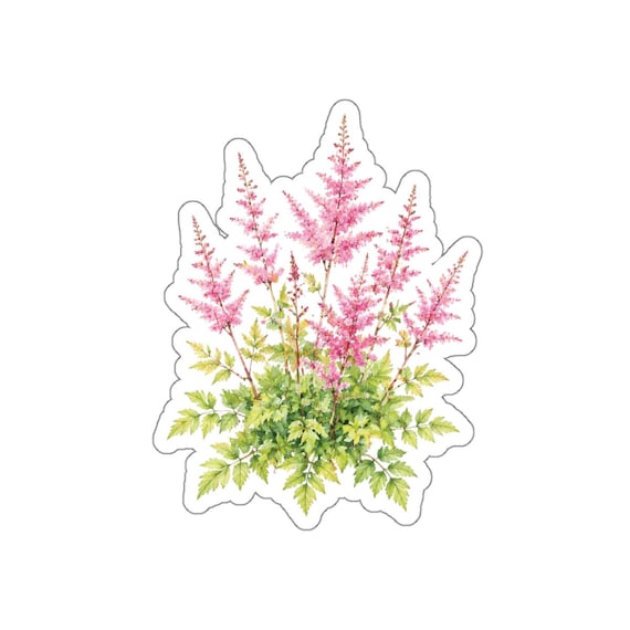 Pink Astilbe Sticker, Astilbe Flower Die Cut Sticker, Pink Botanical Sticker by Bill Shew