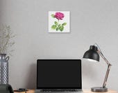Magenta Rose Botanical Art Classic Stretched Canvas | Floral Wall Decor, in-room view (Bill Shew)