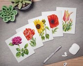 Watercolor Floral Note Cards, Assorted Garden Flowers (Set of 5), detail view (Bill Shew)