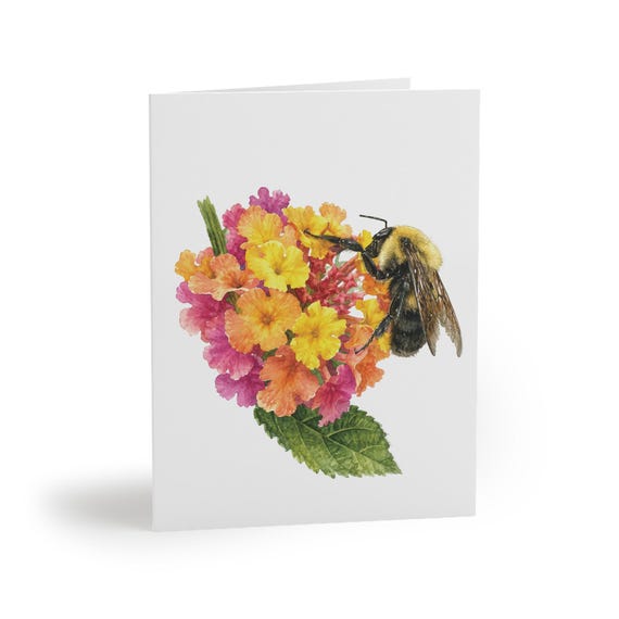 Bumblebee Flower Greeting Card, Watercolor Floral Card, Bumblebee and Wildflowers by Bill Shew