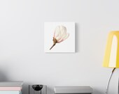 Pink Magnolia Botanical Canvas, alternate view (Bill Shew)