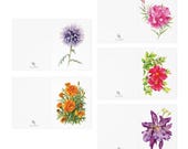 Floral Note Cards, Botanical Greeting Assortment (Set of 5), in-room view (Bill Shew)