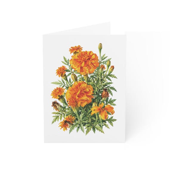 Marigold Bouquet Greeting Card, Digital Art Print, Botanical Card, Blank Inside, Bill Shew wall art print