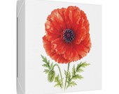 Red Oriental Poppy Botanical Art Classic Stretched Canvas | Floral Wall Decor, detail view (Bill Shew)