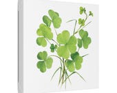 Green Clover Botanical Art Classic Stretched Canvas | Lucky Clover Wall Decor, framing detail (Bill Shew)