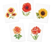 Sunflower & Wildflower Botanical Greeting Card Set of 5 by Bill Shew