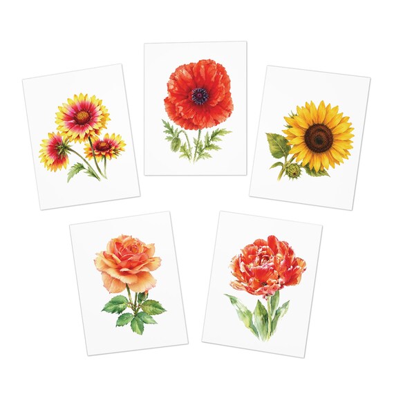 Sunflower & Wildflower Botanical Greeting Card Set of 5 by Bill Shew