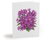8 cards - Purple Garden Phlox Greeting Card, Phlox Paniculata Botanical Watercolor by Bill Shew