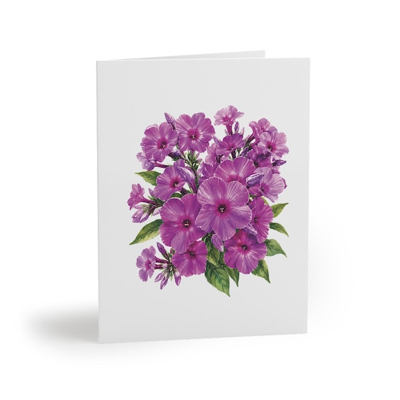 8 cards - Purple Garden Phlox Greeting Card, Phlox Paniculata Botanical Watercolor by Bill Shew