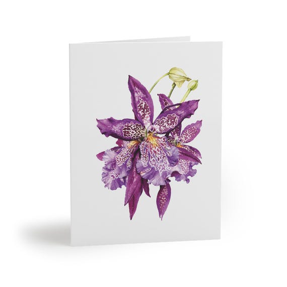 8 cards - Purple Toad Lily Watercolor Card, Spotted Exotic Floral Art by Bill Shew