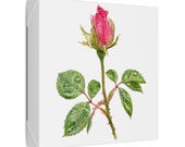 Pink Rose Botanical Art Classic Stretched Canvas | Floral Wall Decor, detail view (Bill Shew)