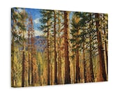 Golden Hour Pine Forest Canvas Print, Textured Mountain Wall Art, Sunlit Trees Decor, detail view (Bill Shew)