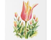 Pink Orange Tulip Botanical Art Classic Stretched Canvas | Floral Wall Decor, Bill Shew canvas print