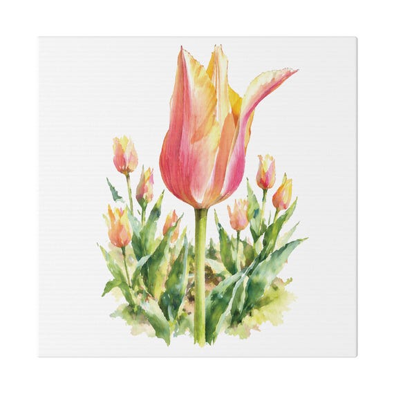 Pink Orange Tulip Botanical Art Classic Stretched Canvas | Floral Wall Decor, Bill Shew canvas print