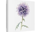 Purple Globe Thistle Botanical Art Classic Stretched Canvas | Wildflower Wall Decor, framing detail (Bill Shew)