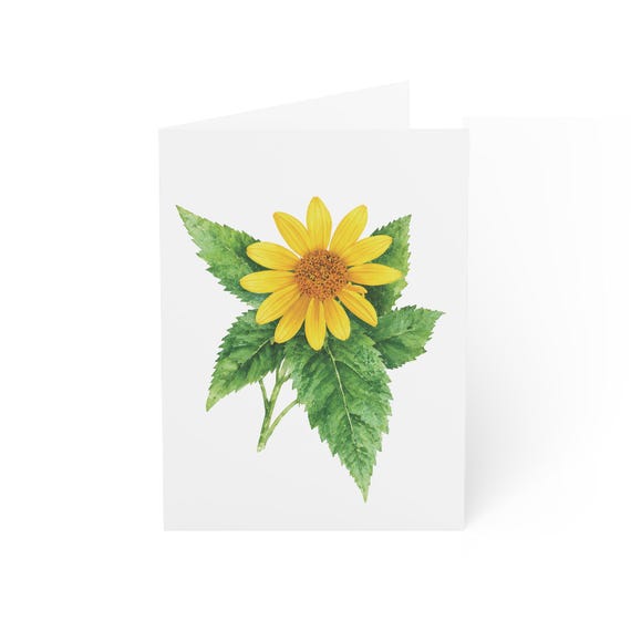 False Sunflower Greeting Card, Digital Art Print, Botanical Card, Blank Inside, Bill Shew wall art print
