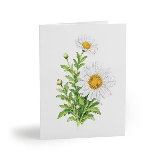 8 cards - White Daisy Botanical Watercolor Greeting Card, Floral Note Card by Bill Shew