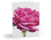 Watercolor Pink Rose Greeting Card, Botanical Floral Art, Romantic Note Card by Bill Shew