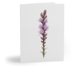 8 cards - Blazing Star Greeting Card, Purple Liatris Botanical Watercolor by Bill Shew