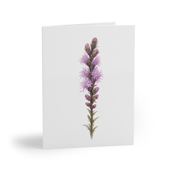 8 cards - Blazing Star Greeting Card, Purple Liatris Botanical Watercolor by Bill Shew