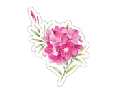 Pink Oleander Flower Sticker, Watercolor Botanical Decal by Bill Shew