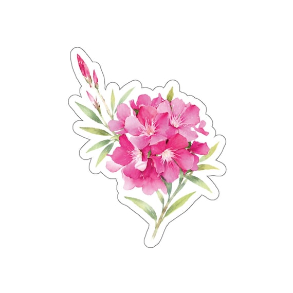 Pink Oleander Sticker, Oleander Flower Sticker, Pink Botanical Floral Sticker by Bill Shew