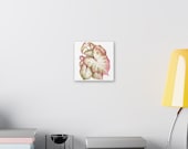 Pink White Caladium Botanical Watercolor Classic Stretched Canvas | Botanical Wall Decor, alternate view (Bill Shew)