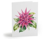Watercolor Pink Bromeliad Greeting Card, Botanical Floral Note Card (Pack of 8, 16, or 24) by Bill Shew