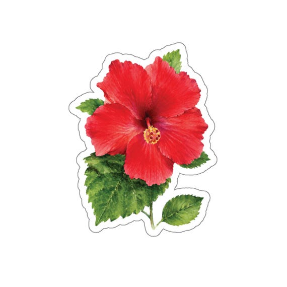 Red Hibiscus Sticker, Tropical Hibiscus Flower Sticker, Watercolor Hibiscus by Bill Shew