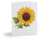 8 cards - Sunflower Greeting Card, Botanical Watercolor Flower Art, Yellow Sunflower Card by Bill Shew