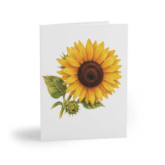 8 cards - Sunflower Greeting Card, Botanical Watercolor Flower Art, Yellow Sunflower Card by Bill Shew