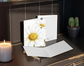 Oxeye Daisy Watercolor Greeting Card, White Wildflower Botanical Art (Pack of 8, 16, alternate view (Bill Shew)