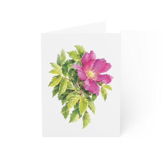 Cape Rose Greeting Card, Digital Art Print, Botanical Card, Blank Inside for Any Occasion, Bill Shew wall art print