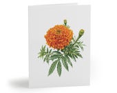 African Marigold Botanical Watercolor Greeting Card – Orange Flower Art (8 Cards), Bill Shew note card set