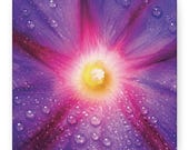 Morning Glory Flower Canvas Print, Macro Botanical Wall Art, Violet Petals, Dewdrops by Bill Shew