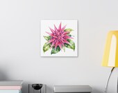 Pink Bromeliad Botanical Art Classic Stretched Canvas | Tropical Floral Wall Decor, detail view (Bill Shew)