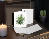 8 cards - Zebra Haworthia Watercolor Greeting Card, Haworthiopsis Attenuata Botanical Art, alternate view (Bill Shew)