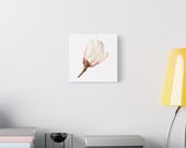 Pink Magnolia Botanical Canvas, alternate view (Bill Shew)