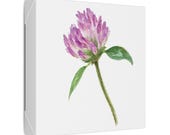 Purple Red Clover Botanical Art Classic Stretched Canvas | Floral Wall Decor, detail view (Bill Shew)