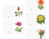 Rose Botanical Greeting Card Set of 5, Assorted Watercolor Floral Note Cards, Blank Inside, in-room view (Bill Shew)